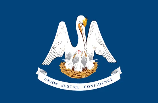 Louisiana state flag on Andrew Hillman's public record site